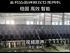Top-Quality Gabion Machine Manufacturer | 27 Years Experience | JinLiDa Hexagonal Net Production Lin