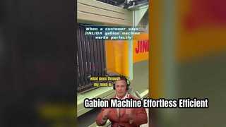 Customer Feedback: Gabion Machine Running Smoothly & Efficiently