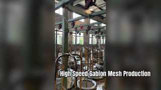 5300mm CNC Gabion Mesh Machine | High-Speed Hexagonal Wire Netting Machine | JINLIDA Factory