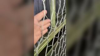 High Quality Gabion Wire Mesh Machine from Jinlida Factory, Multiple Production Lines
